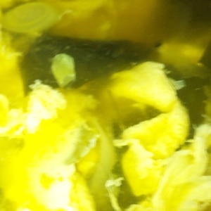 卵と玉ねぎとわかめのスープ
